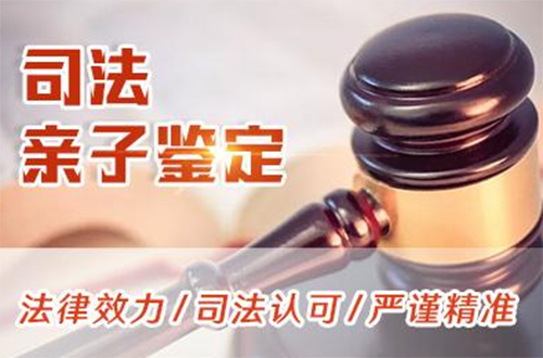 岳阳司法亲子鉴定怎么收费,岳阳司法DNA鉴定如何办理