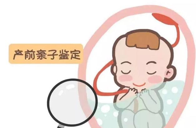 怀孕了怎么确认孩子是谁的[岳阳],孕期亲子鉴定结果准确吗